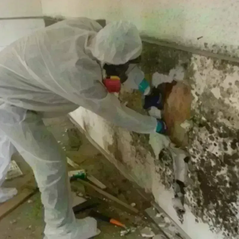 Mold Remediation and Removal in Hopkinton, MA